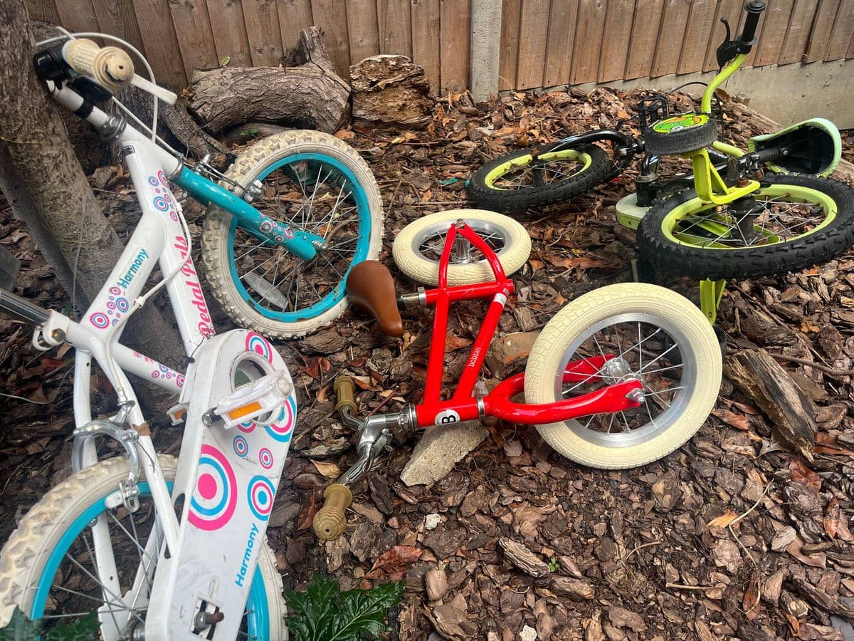 The bike graveyard in my garden